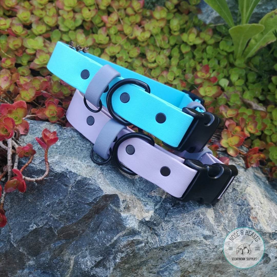 Quick Release Collars Nose and Hearts Scentwork Supplies