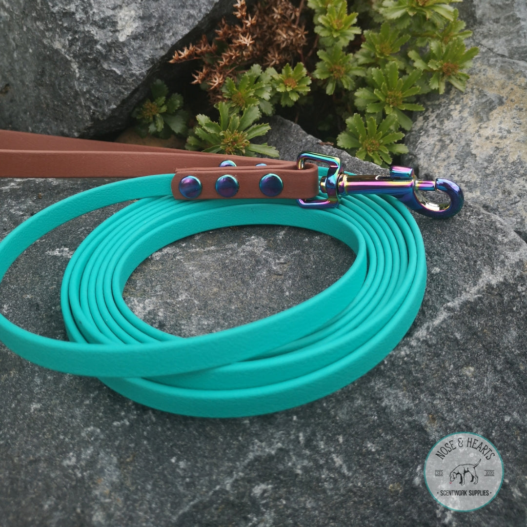 All Leashes