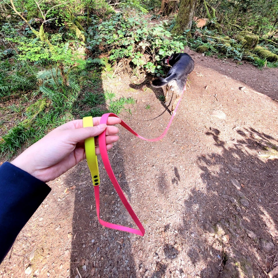 12 foot. Magenta pink and neon yellow