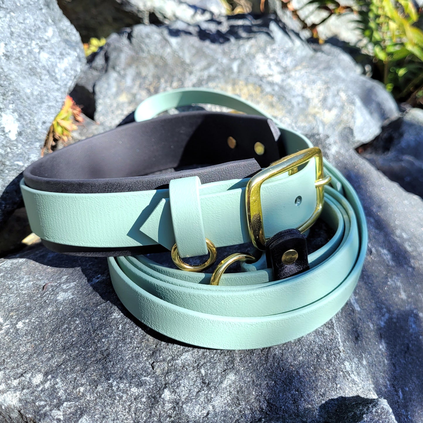 Sage green on top of 1.5" black