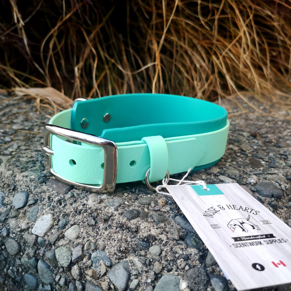 Sea foam green on top of 1.5" teal