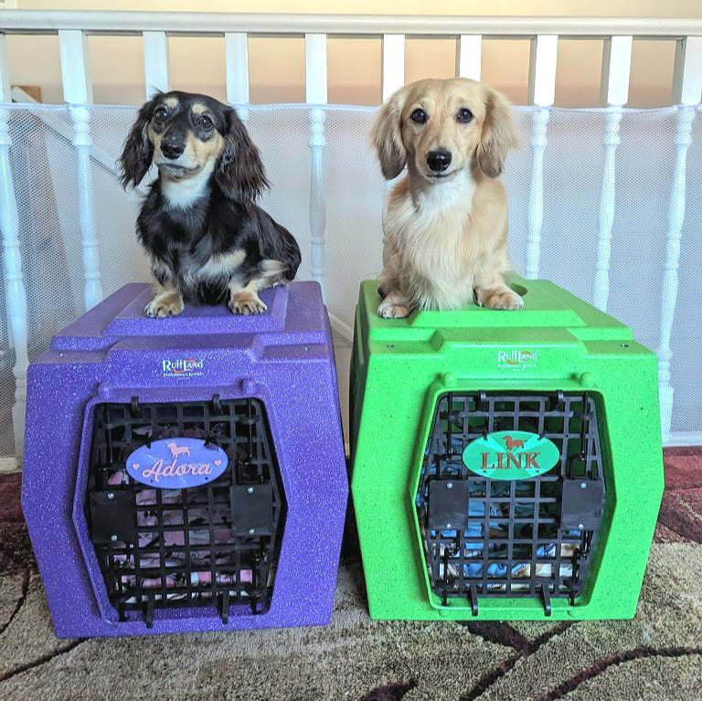 Adora: Purple with lavender font. Link: Grass green with brown font.  Kennels are size small.  Crate tags are Oval (4.75" x 2.5")
