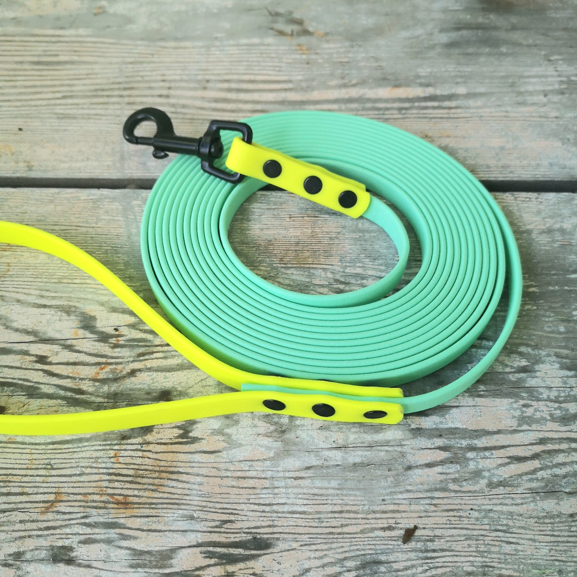 3/8" wide two-toned leash in sea foam & neon yellow with a 2.5" long black clasp