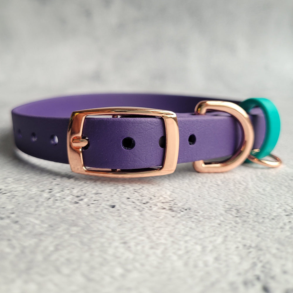 Purple and teal with rose gold hardware