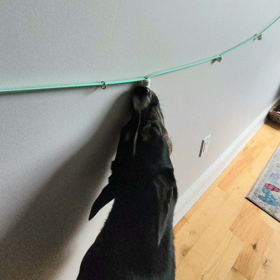Pairing Aerial Sniff Line