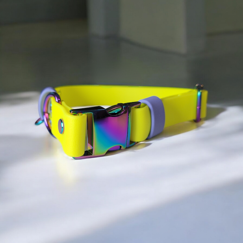 Neon yellow & periwinkle