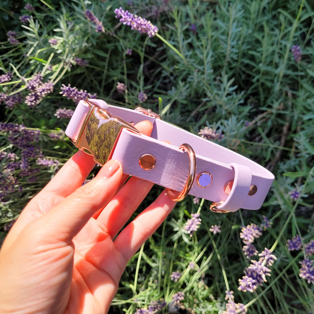 Lavender