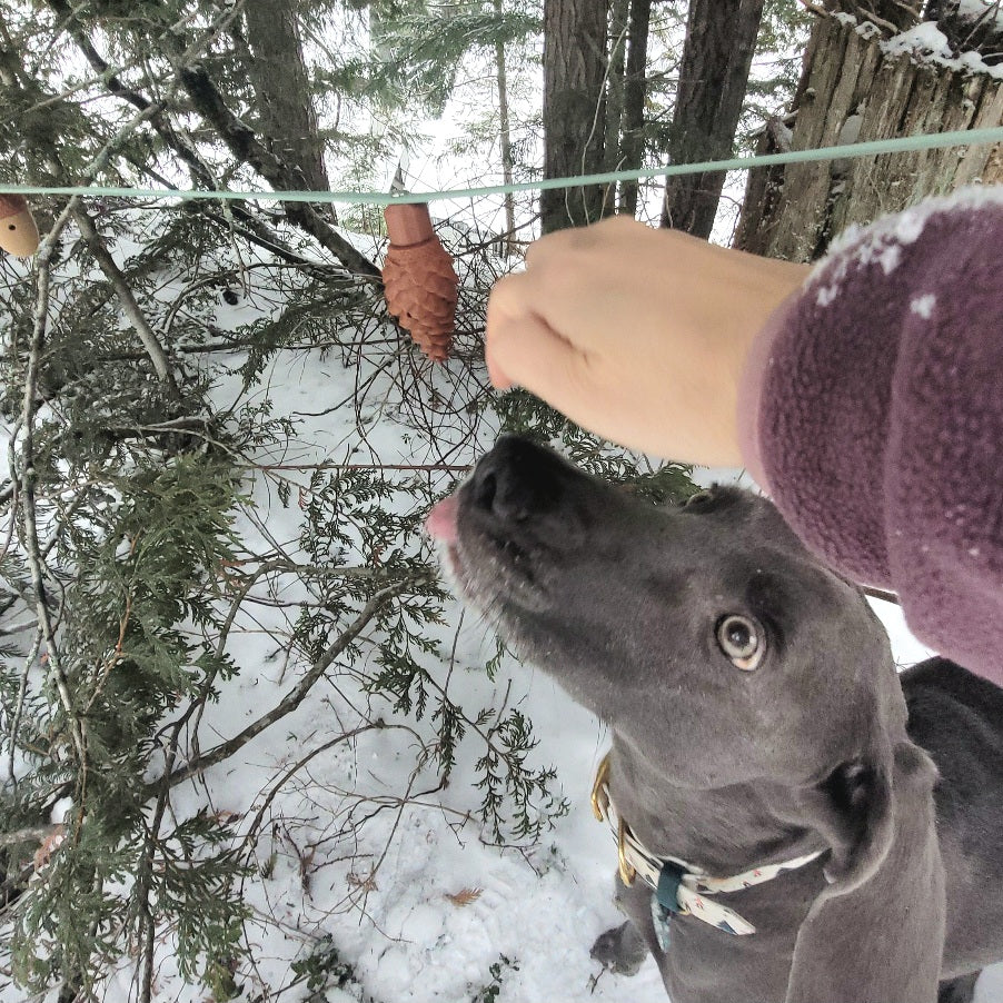 Woodland Magnetic Aerial Sniff Line