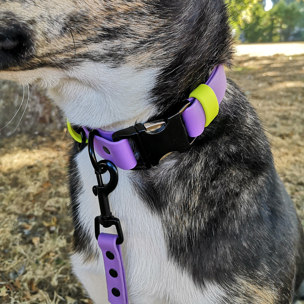 Amethyst and neon yellow strap