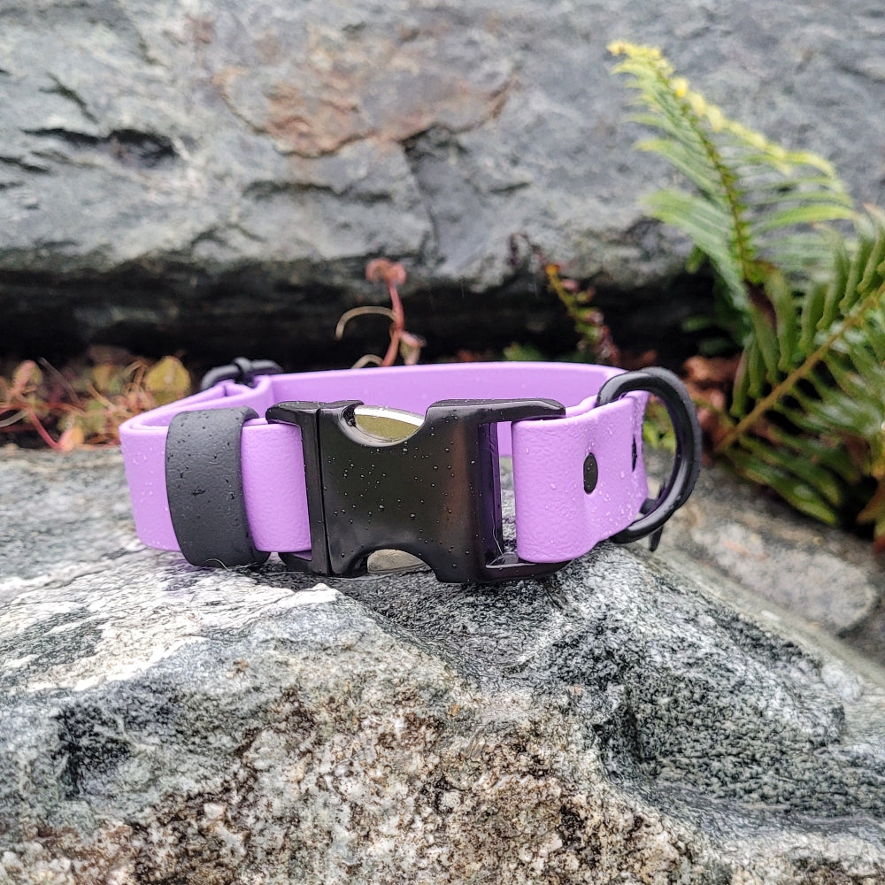 Amethyst and black