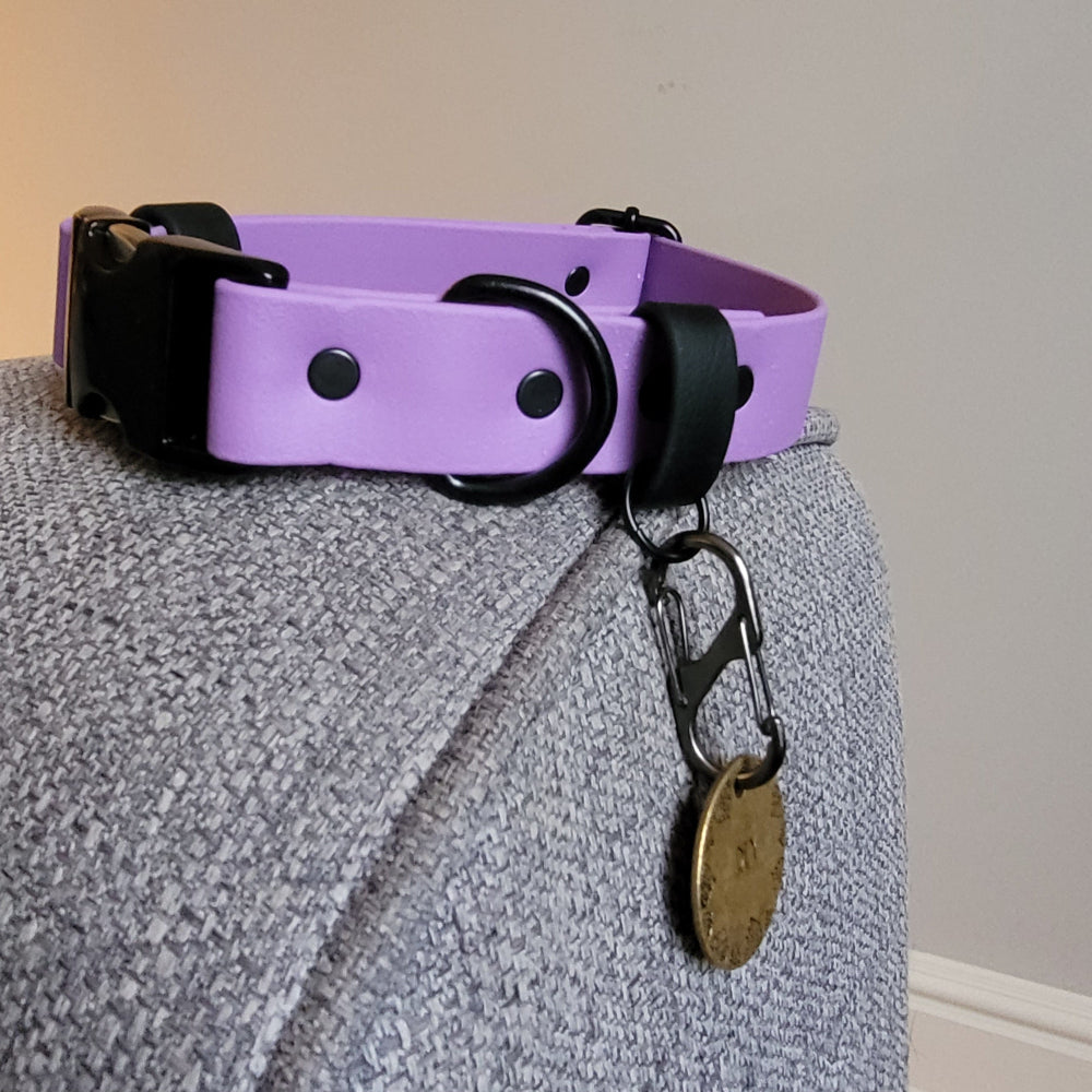 Featuring a dog tag ring, exclusive to Nose & Hearts