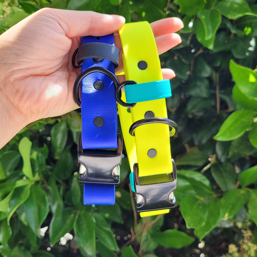 Royal blue x black, neon yellow x teal