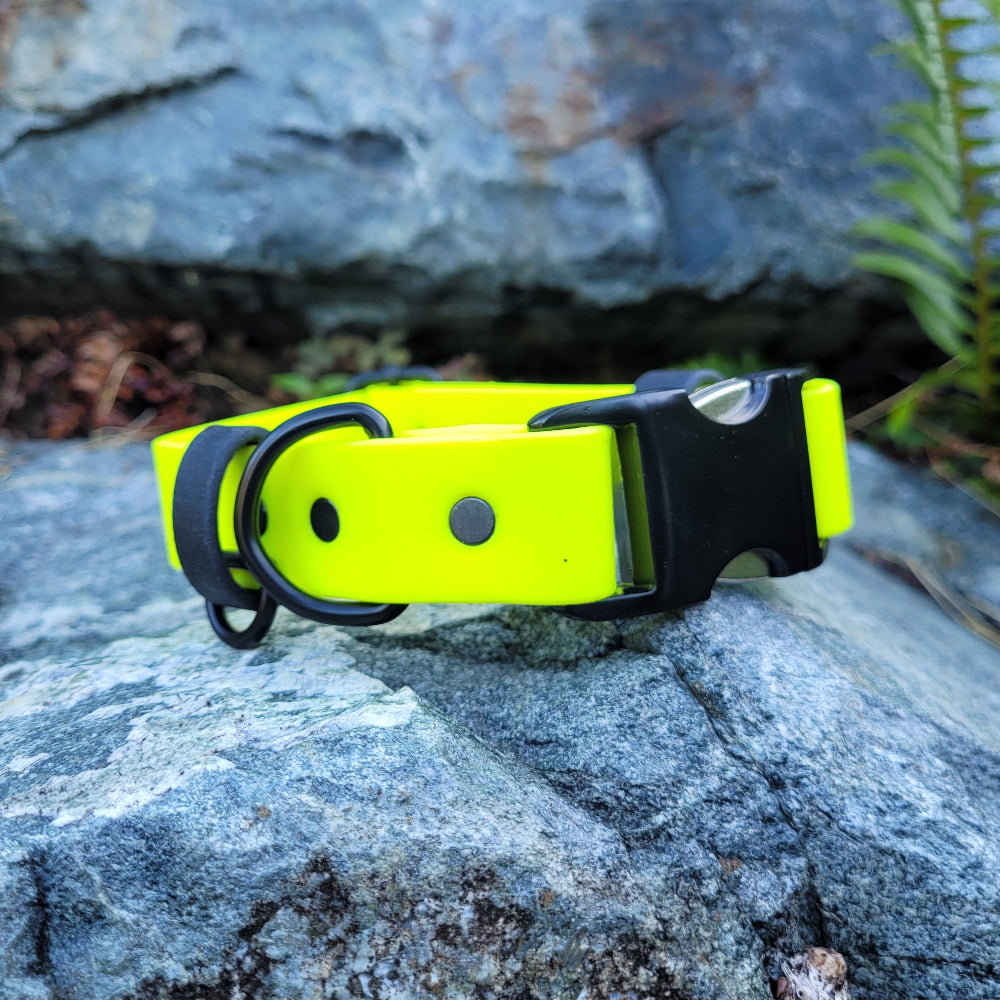 Neon yellow and black