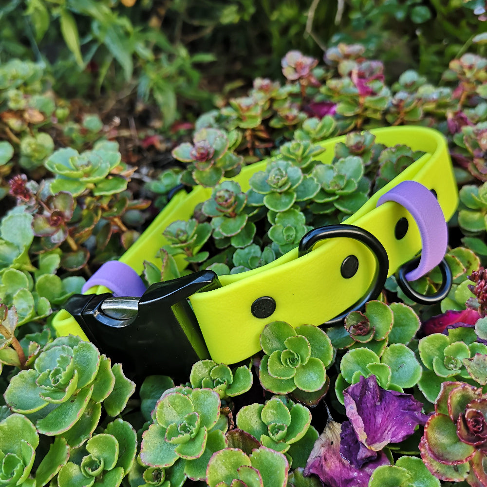 Neon yellow worh amethyst strap