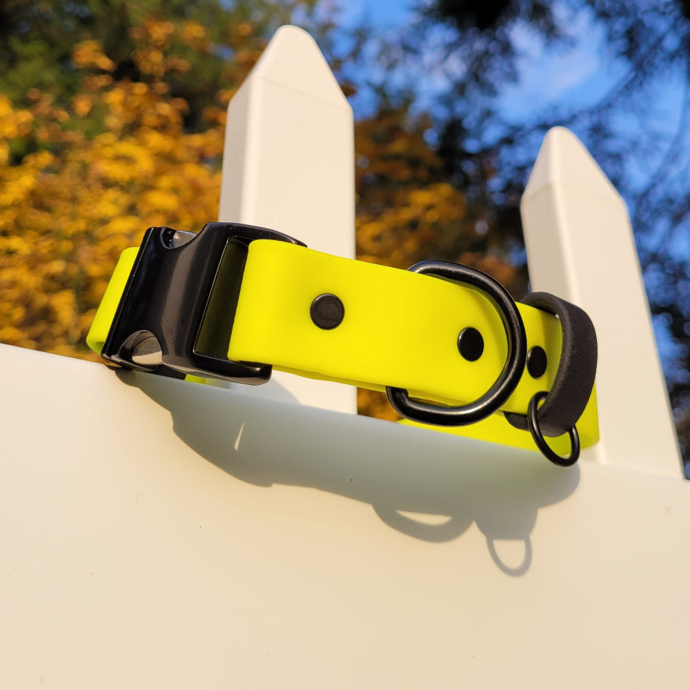 Neon yellow and black