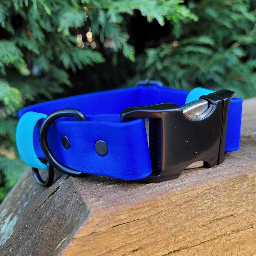 Royal blue and sky blue accent