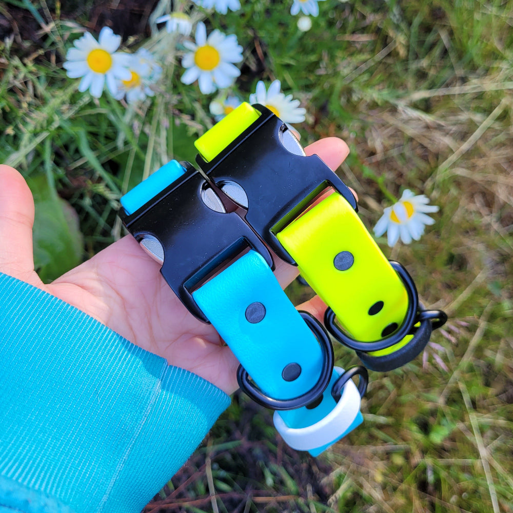 Sky blue and white, neon yellow and black