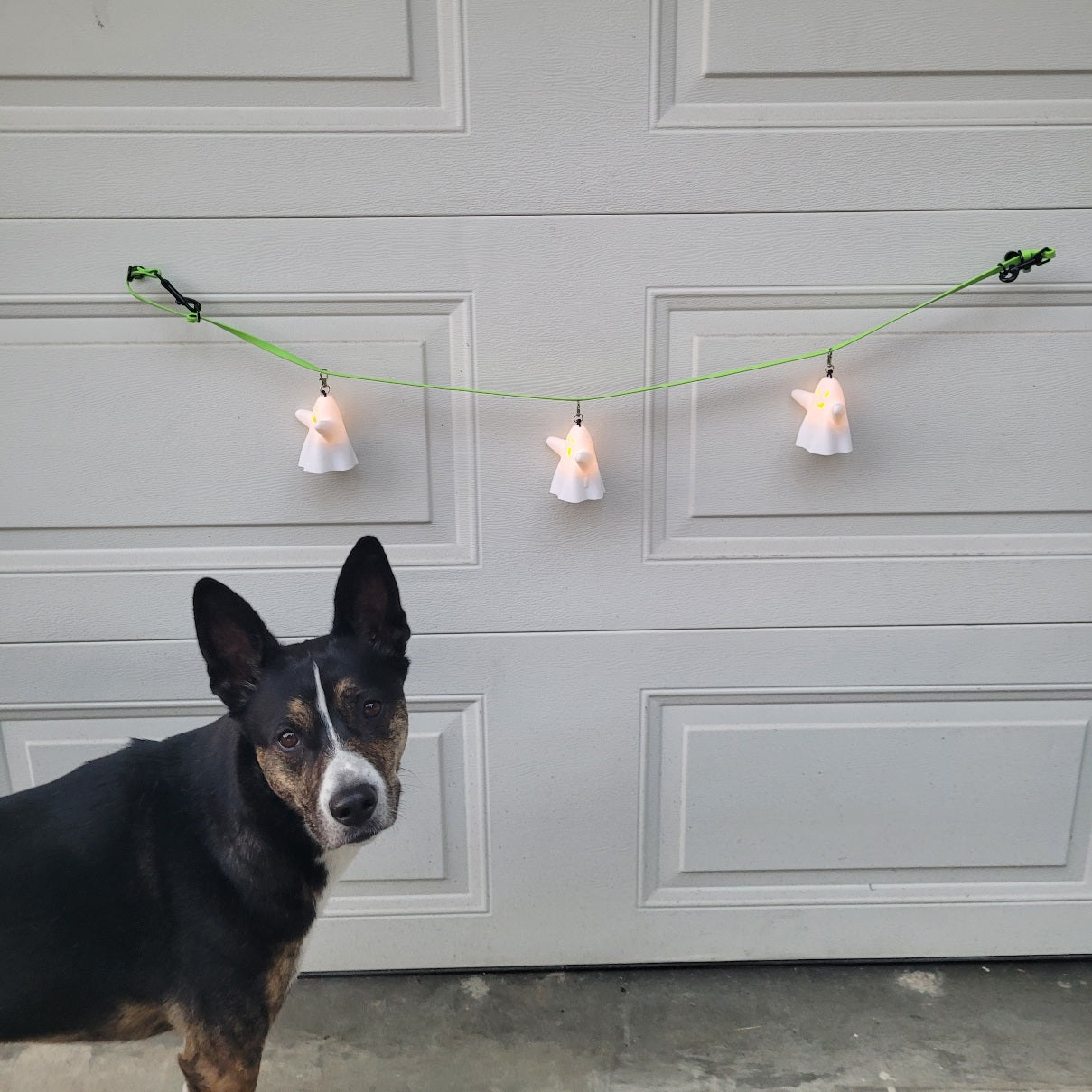 Spooky Ghost Aerial Sniff Line or Vessel