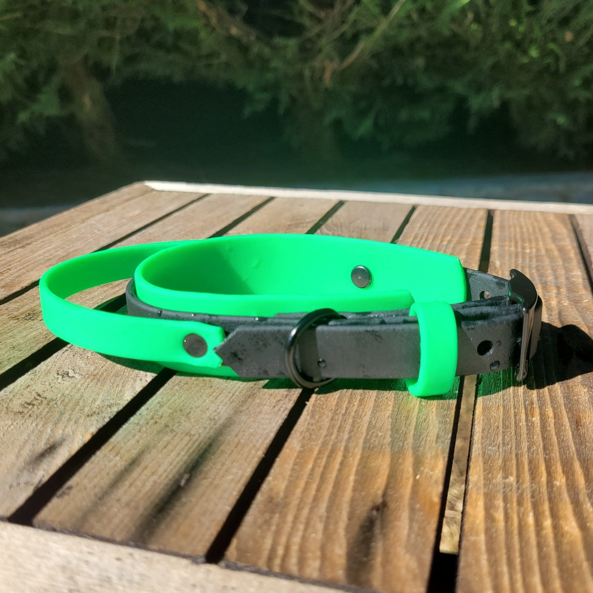 1" wide Handle BioThane® Collar