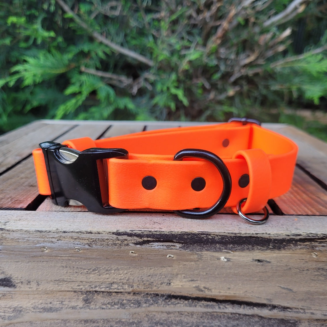 Neon orange