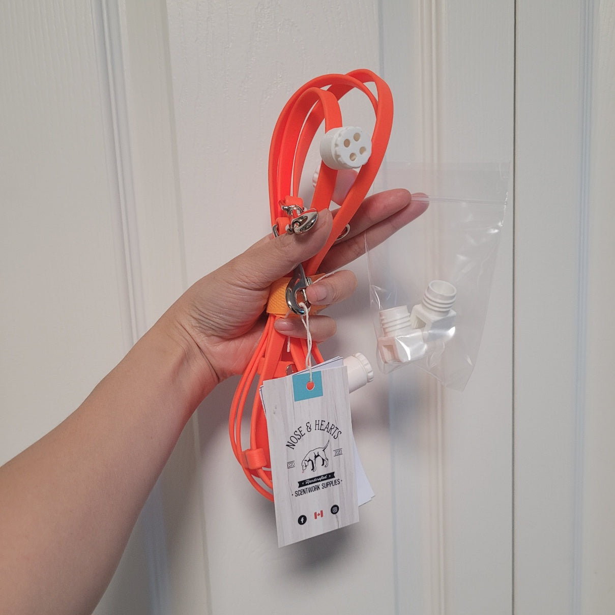 Neon orange