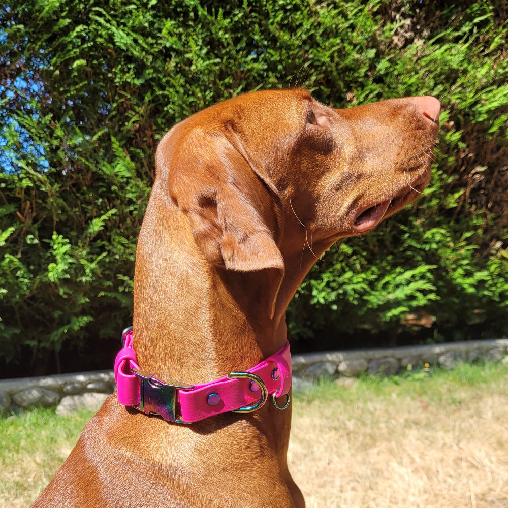Raspberry pink on a 45lb dog, neck 14"
