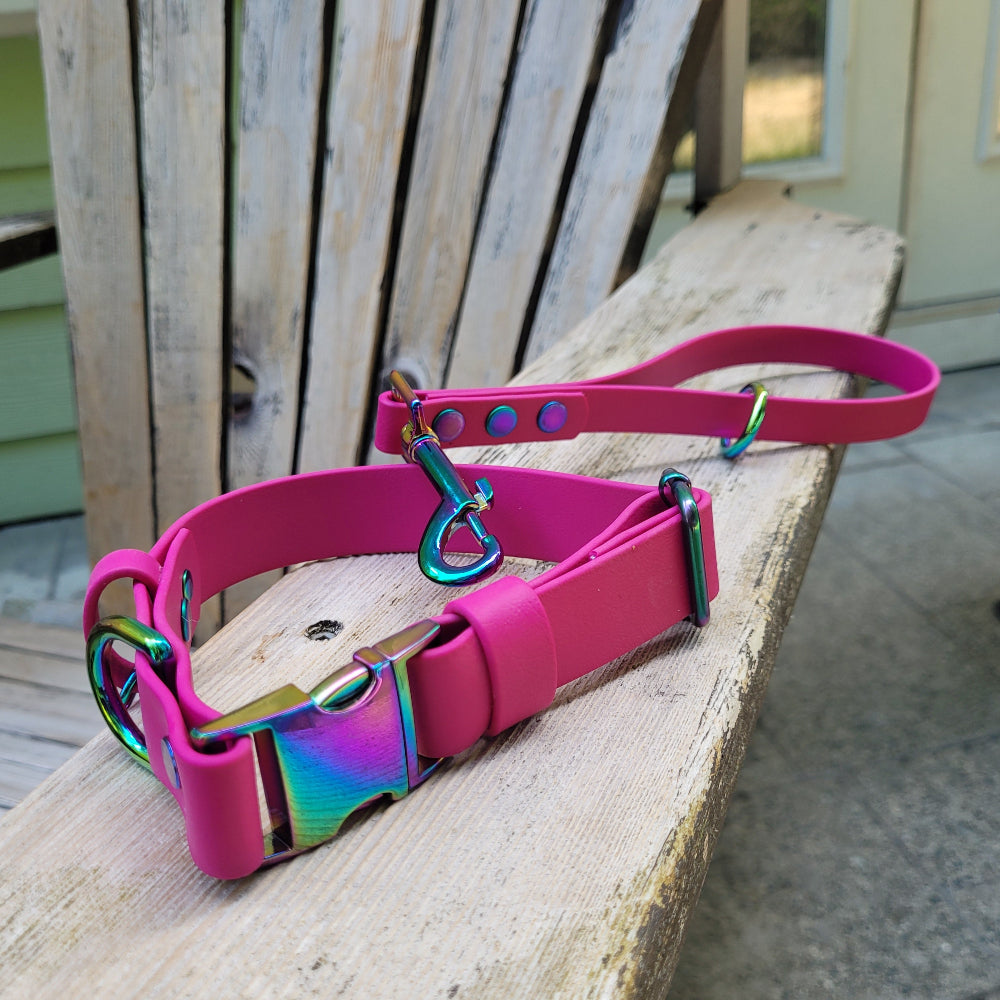Raspberry pink collar size small with matching 1/2" traffic leash
