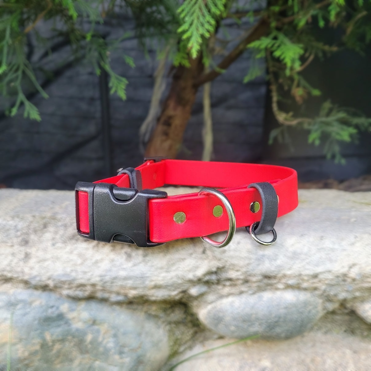 Red and black
