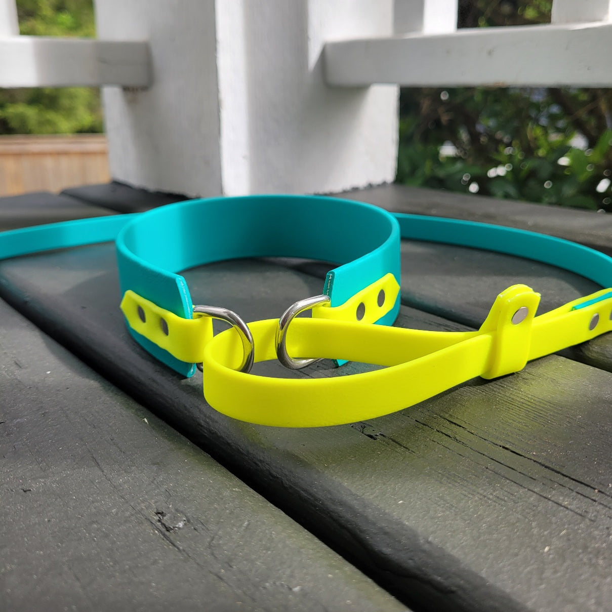 Teal & neon yellow accents. The leash is 5/8" wide (our widest)