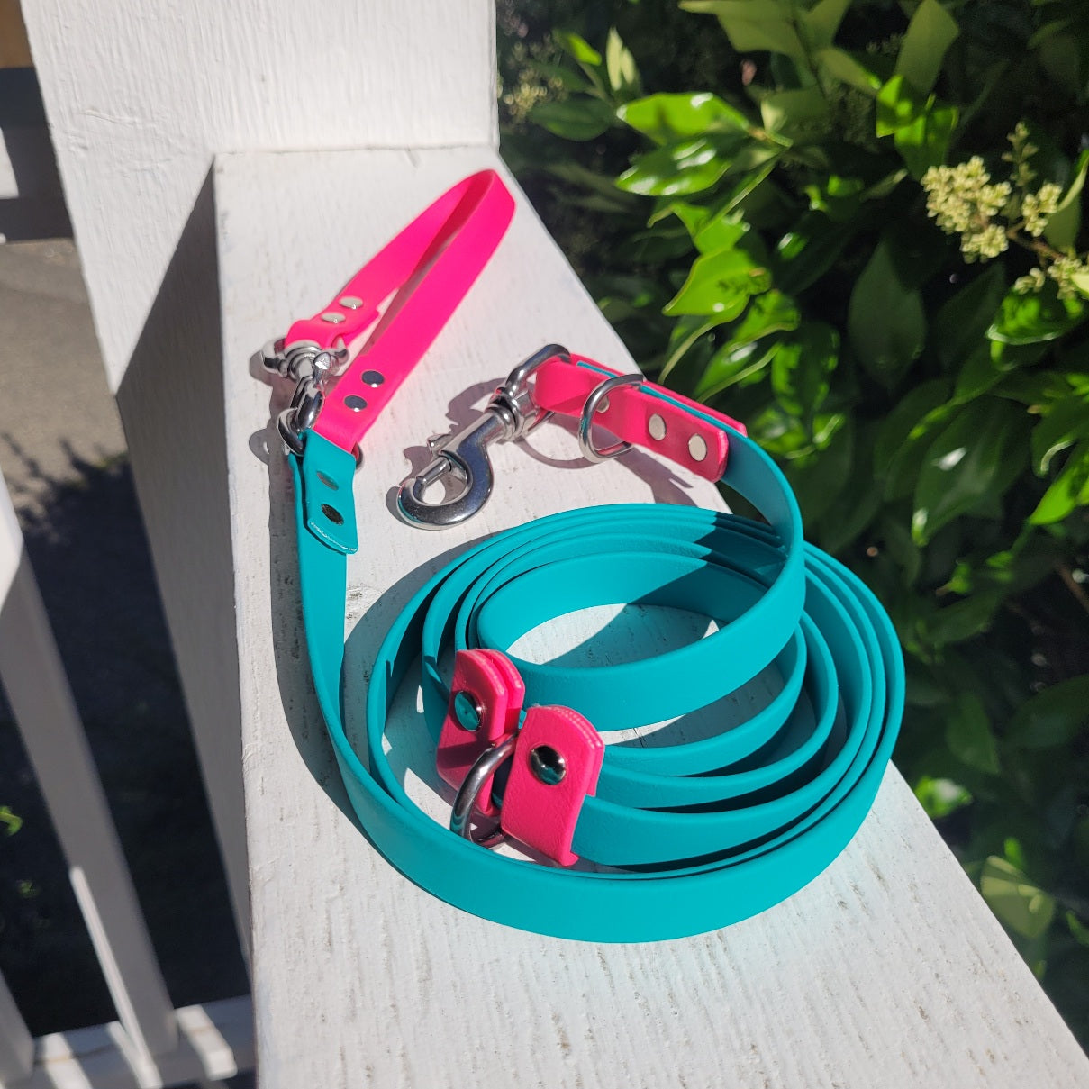 Teal and magenta pink