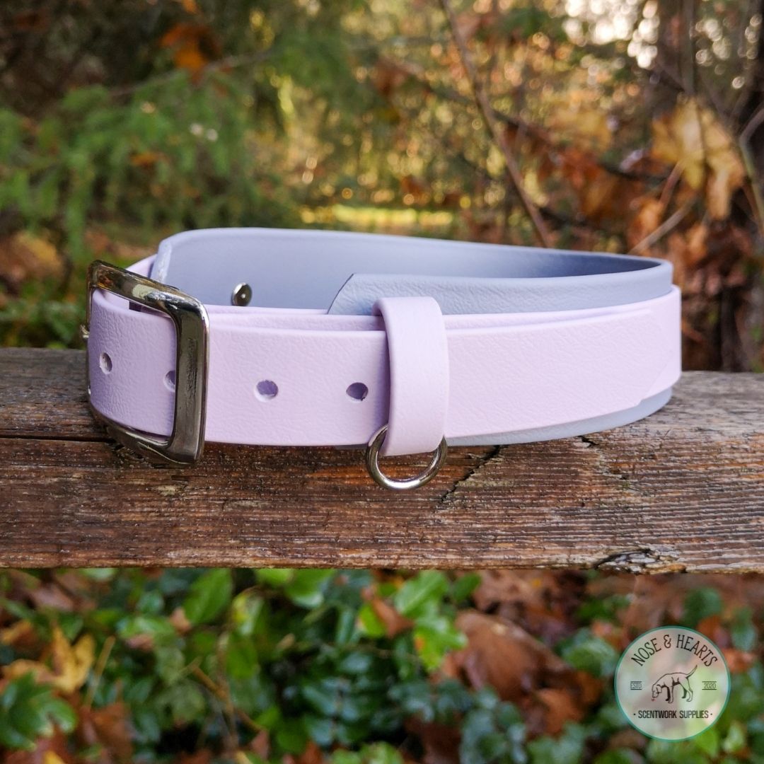 Grey (light) wider colour with lavender 1" front colour.