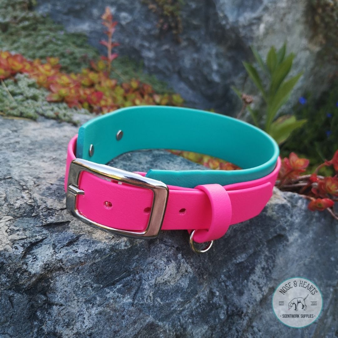 Teal wider colour with magenta pink 1" front colour