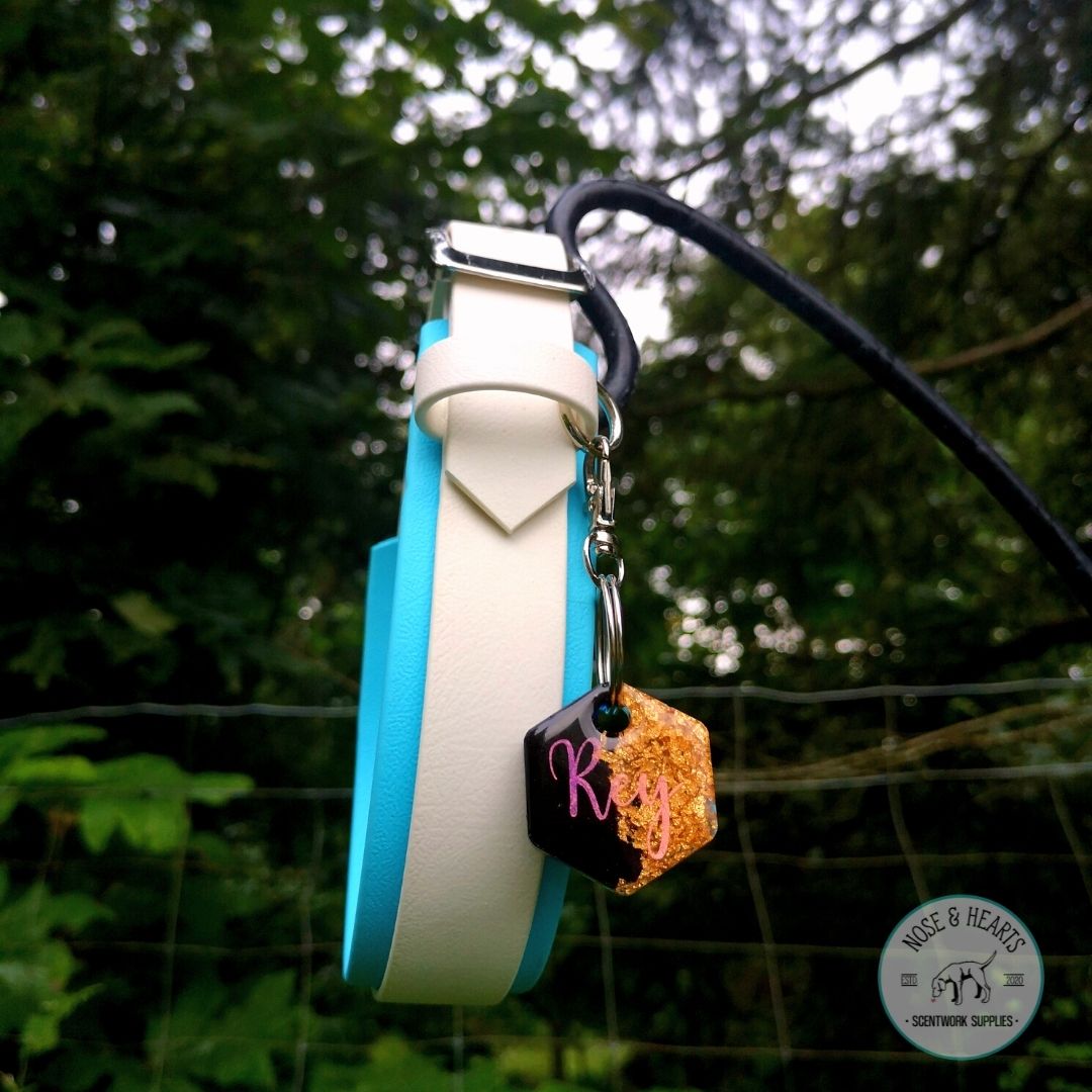 Sky blue wider colour with white 1" front colour