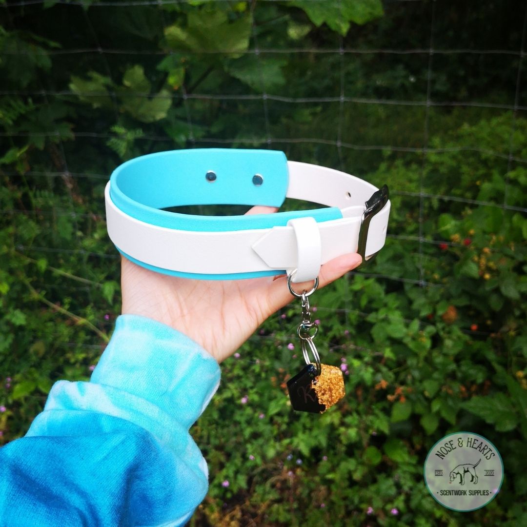 Sky blue wider colour with white 1" front colour