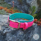 Teal wider colour with magenta pink 1" front colour