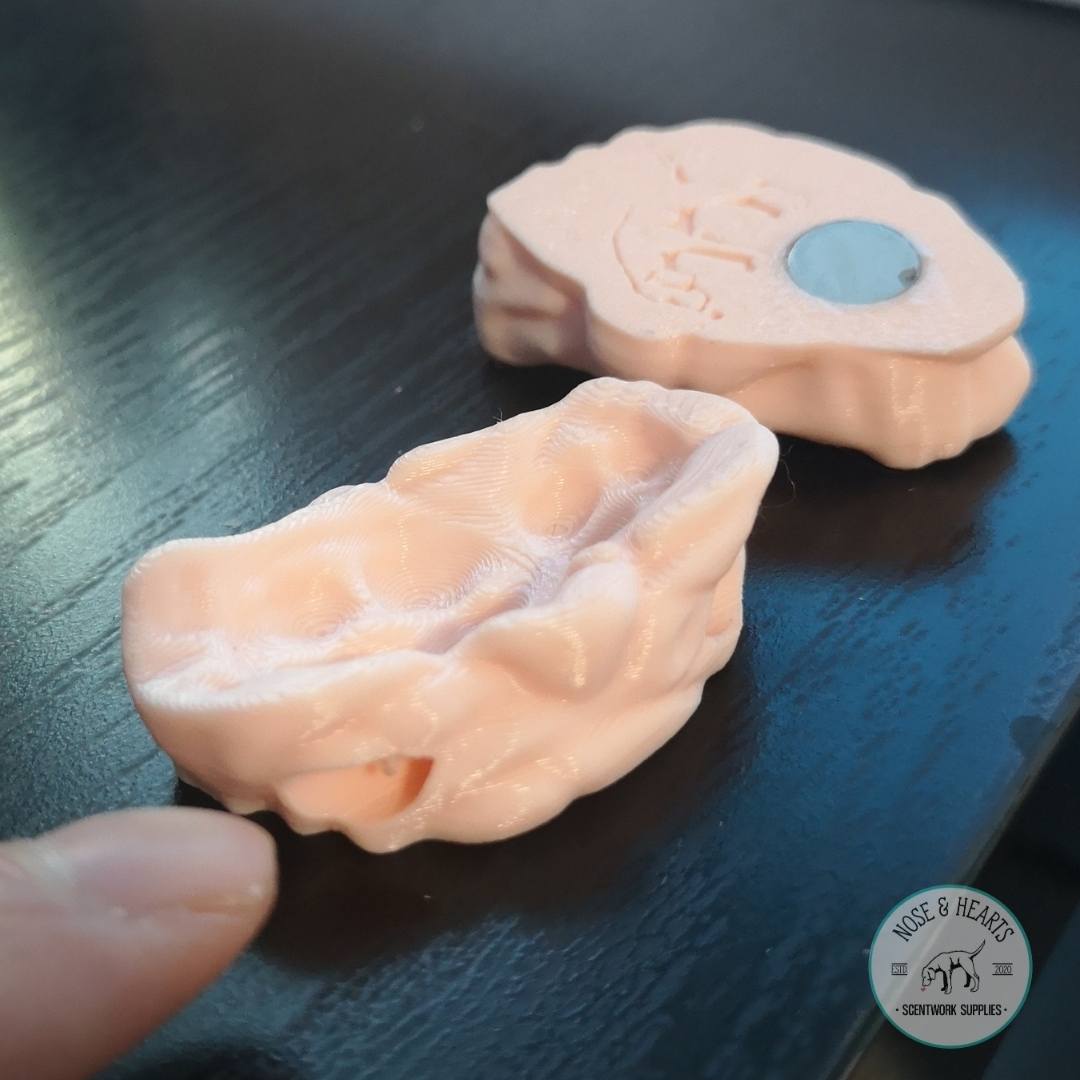 Gum Vessel (1 Pack)