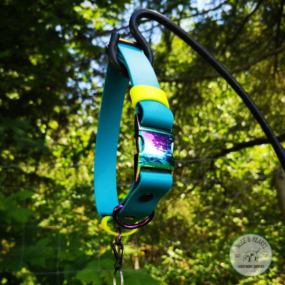 Main colour blue lagoon with accent colour (straps) neon yellow