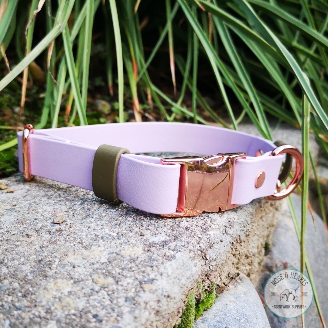 Main colour lavender with accent colour (straps) olive