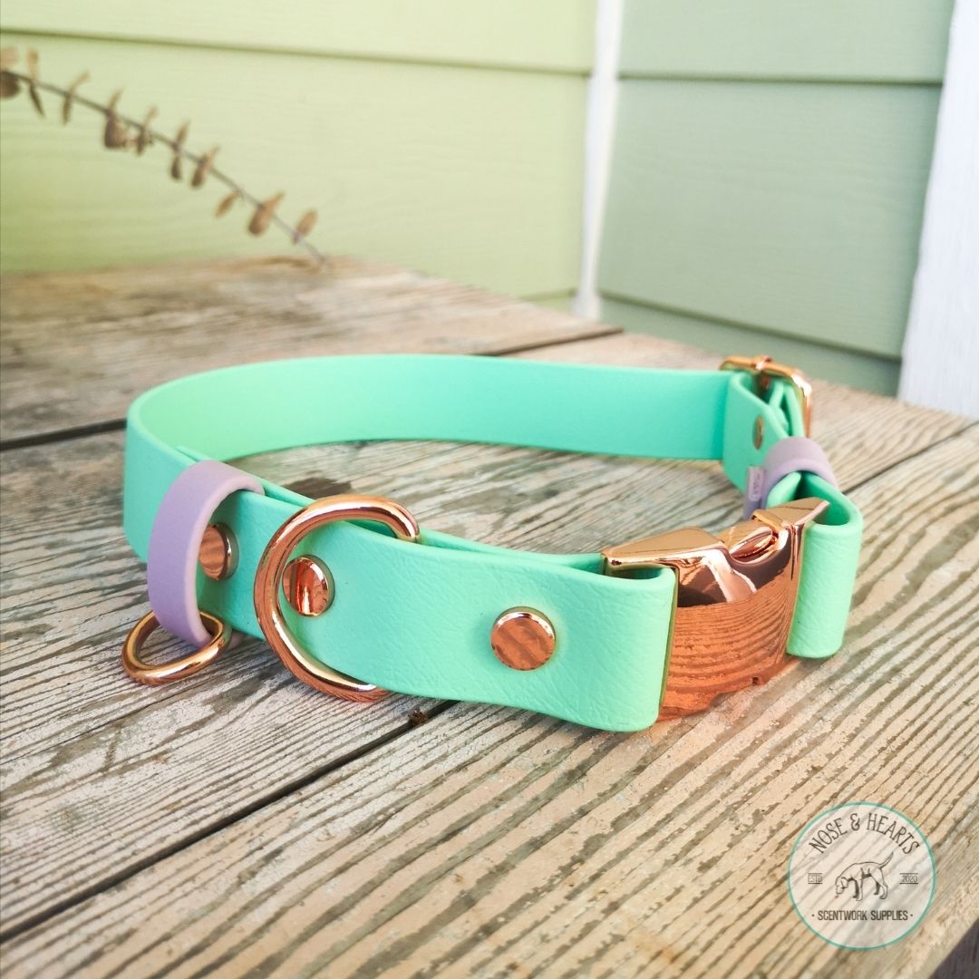 Main colour sea foam green with accent colour (straps) lavender