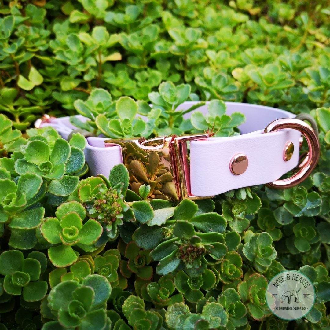 Main colour lavender with accent colour (straps) olive