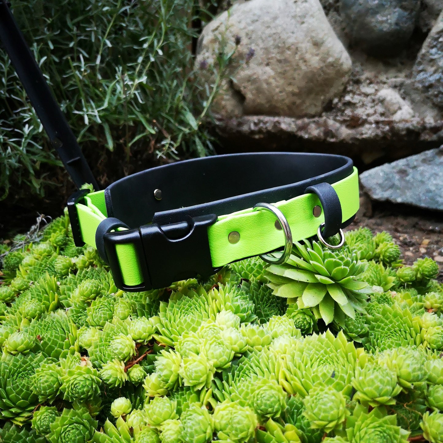 Black wider colour with Lime Green 1" front colour.