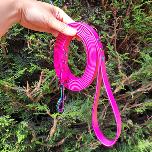 Raspberry pink leash
