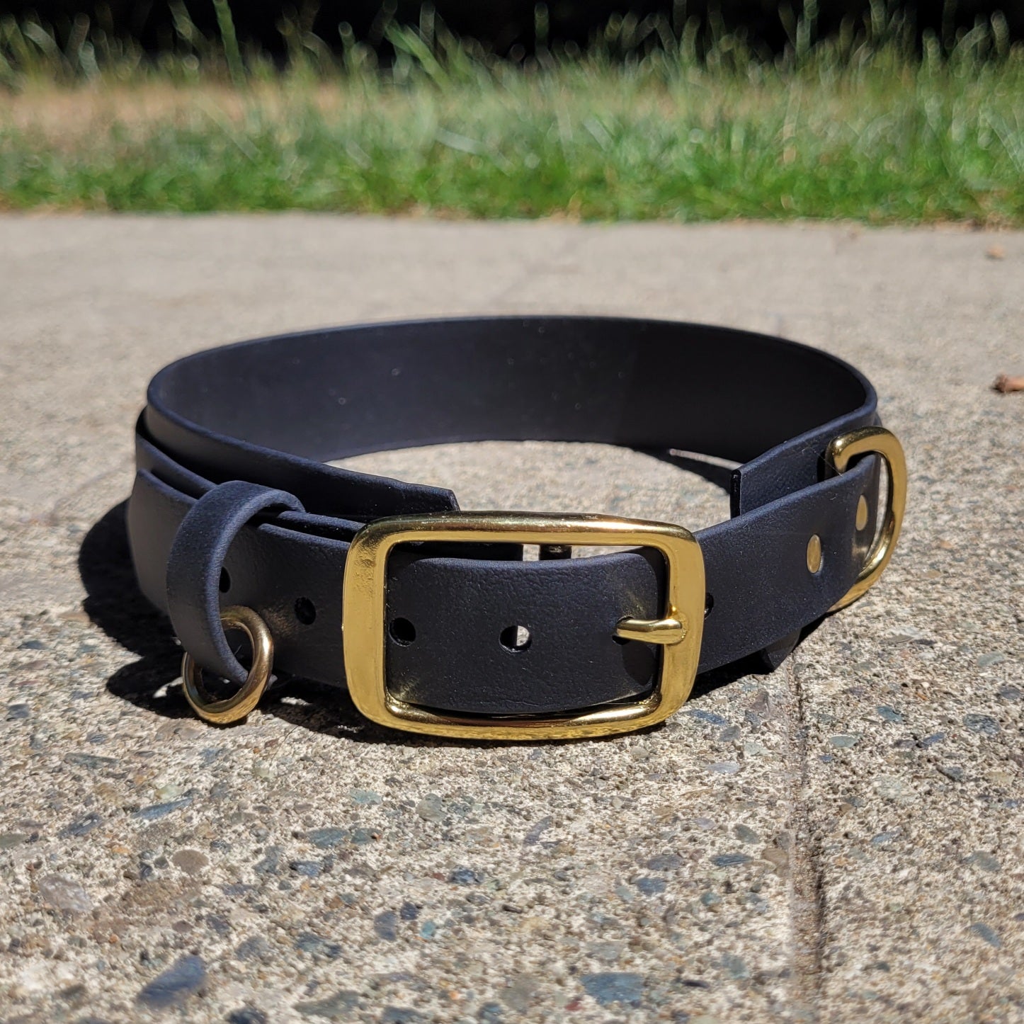 Black on black layered biothane collar. Classic look.