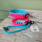 Matching biothane collar and leash set in magenta pink and sky blue. Made in CANADA 