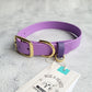 Amethyst and purple with brass hardware 1" Metal Pin Biothane Collar 
