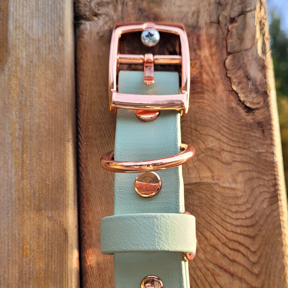 1" Metal Pin Biothane Collar Rose Gold with Sage Green Strap