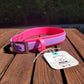 Magenta and amethyst Biothane collar two tone. Made in Canada. 