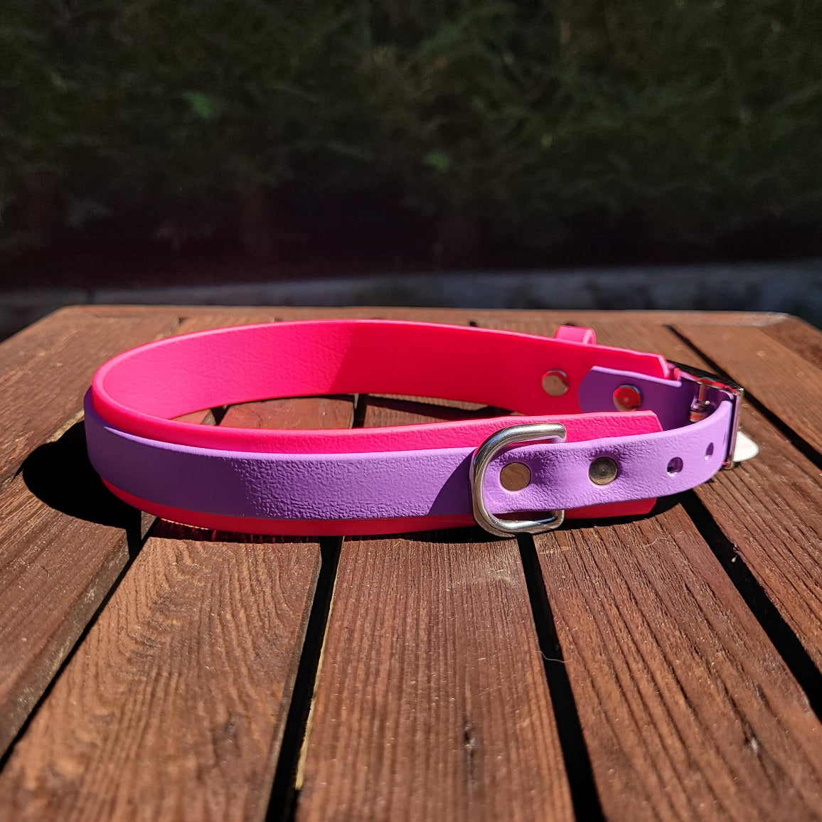 Magenta and amethyst Biothane collar two tone. Made in Canada. 
