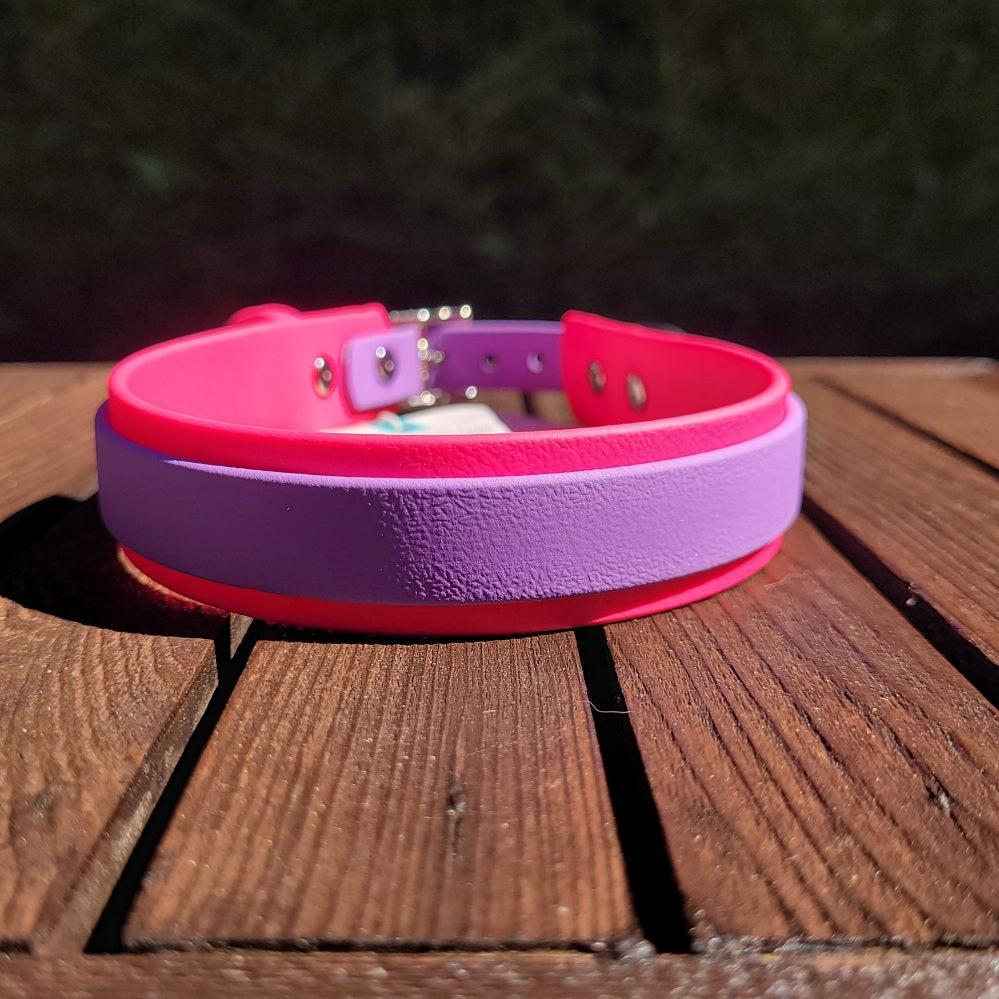 Magenta and amethyst Biothane collar two tone. Made in Canada. 