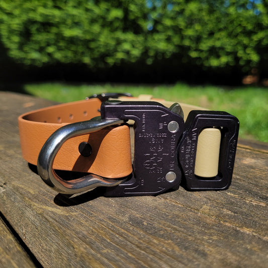 Brown light tan & sahara tan accent